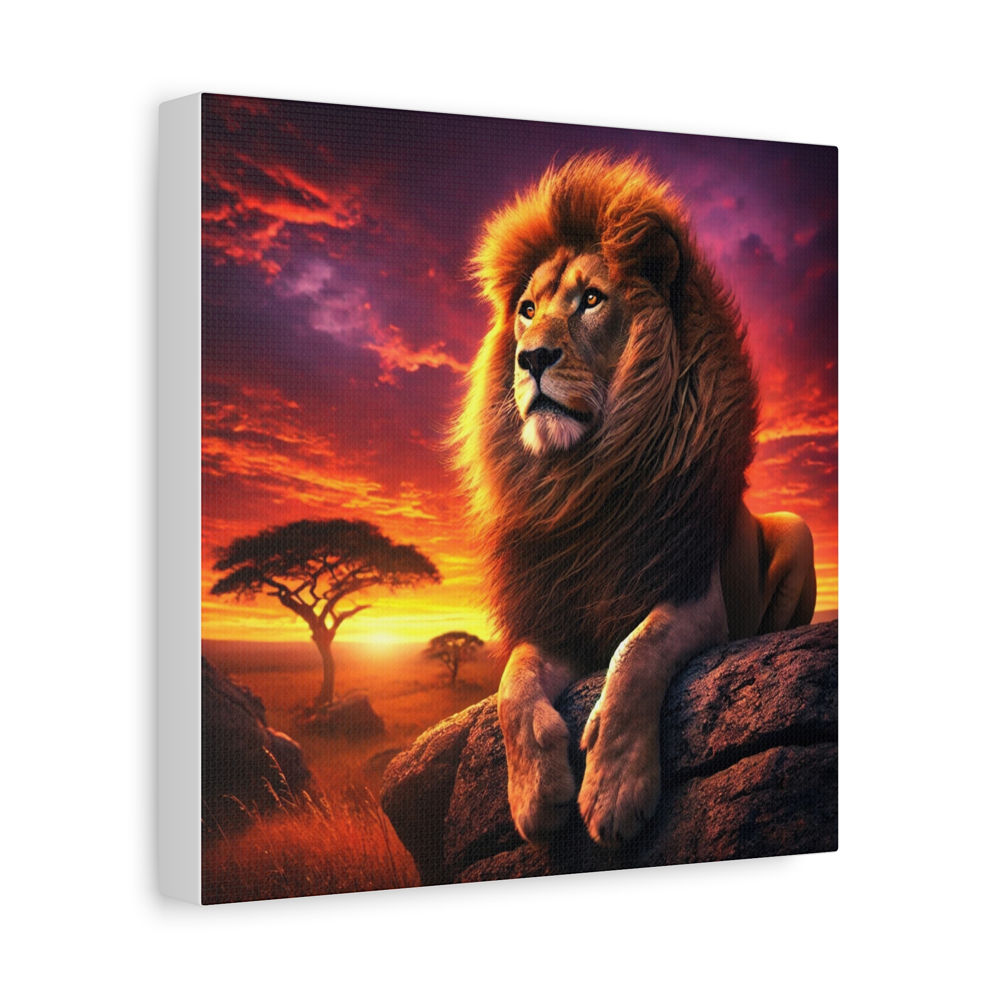 Majestic Lion Sunset Canvas Print Majestic Lion Sunset Canvas Print