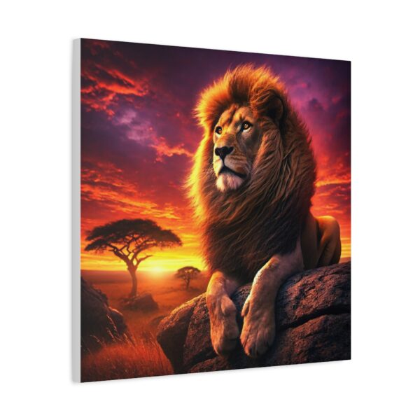 Majestic Lion Sunset Canvas Print